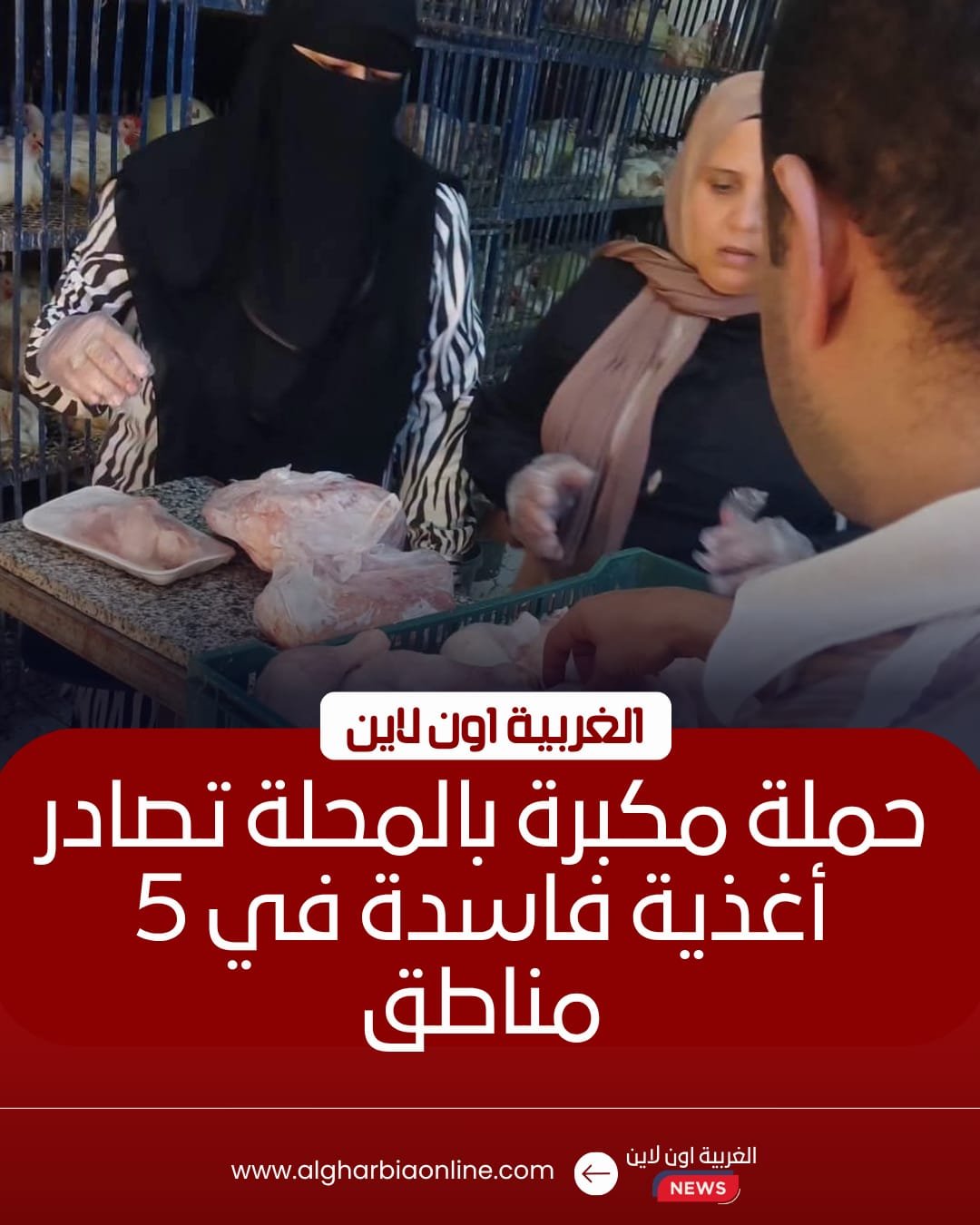 ضبط دواجن فاسدة ومخالفات تموينية كبرى في المحلة