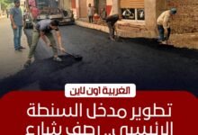 محافظ الغربية يتابع أعمال رصف شارع هندسة الري بالسنطة