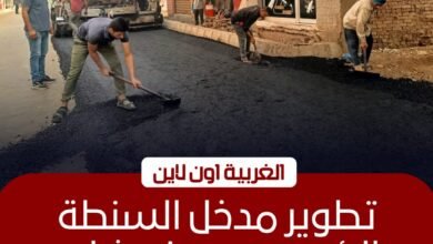 محافظ الغربية يتابع أعمال رصف شارع هندسة الري بالسنطة