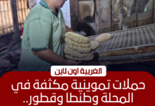 تحرير 70 محضرًا ضد مخابز مخالفة في حملات مكثفة بـ 6 مراكز بالغربية