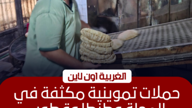 تحرير 70 محضرًا ضد مخابز مخالفة في حملات مكثفة بـ 6 مراكز بالغربية