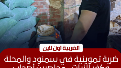 تحرير 38 محضرًا لمخابز مخالفة في حملة مفاجئة بالغربية