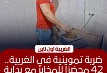 ضبط 42 مخالفة تموينية في حملات مكثفة على مخابز الغربية